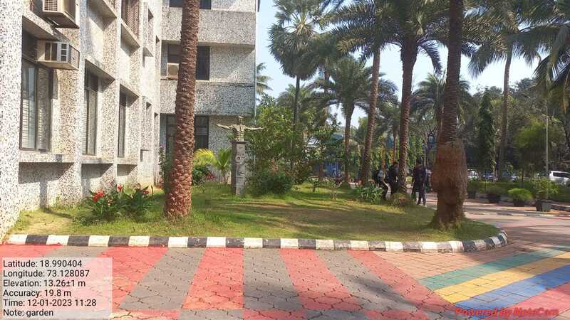 Landscape around the buildings (1)