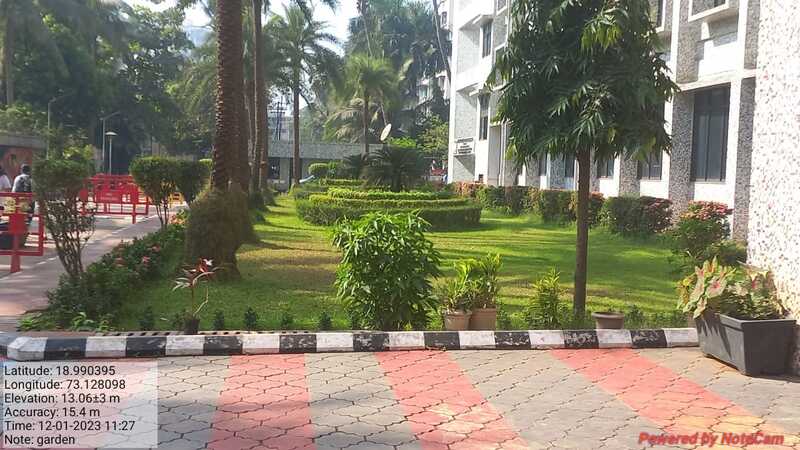 Landscape around the buildings (2)