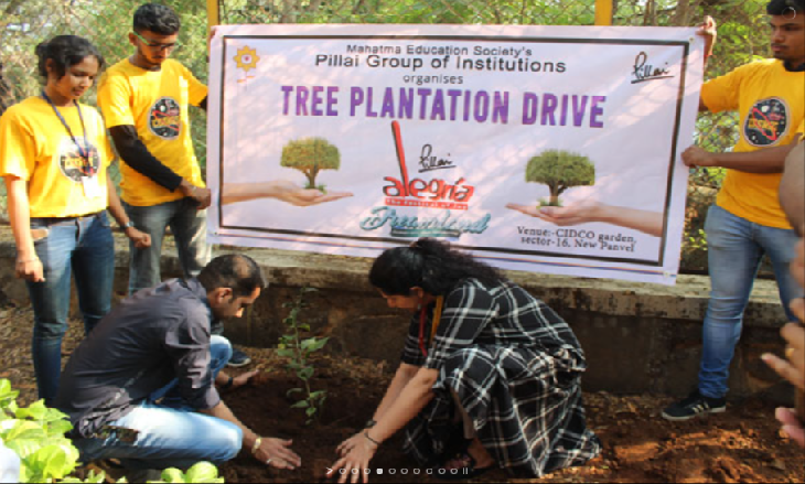 Tree-Plantation-Drive-2020 (3)