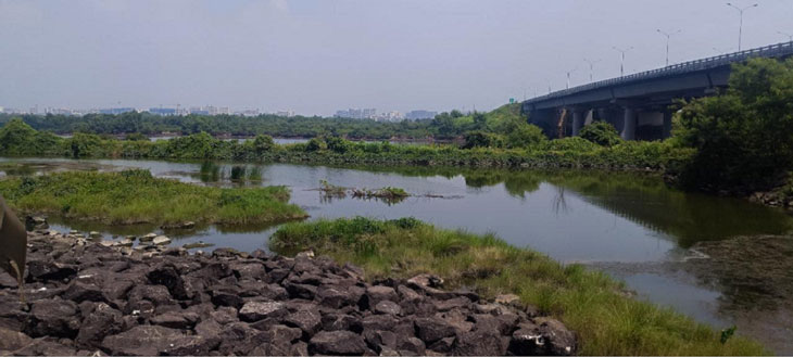 the-edge-through-the-Lense-of-ecology (1)