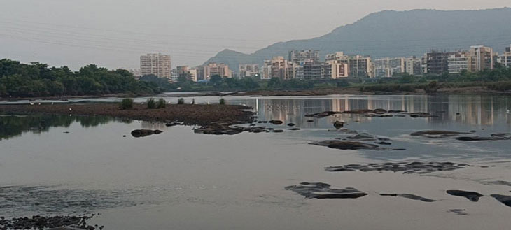 the-edge-through-the-Lense-of-ecology (2)