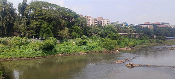 the-edge-through-the-Lense-of-ecology (4)