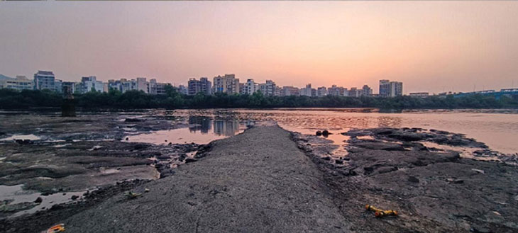 the-edge-through-the-Lense-of-ecology (5)