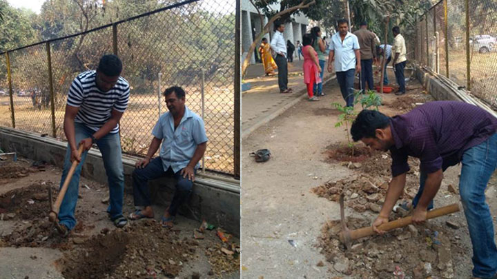 tree-plantation-1