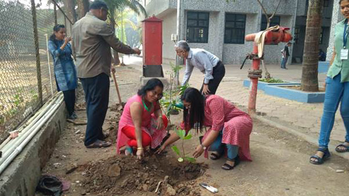tree-plantation-2