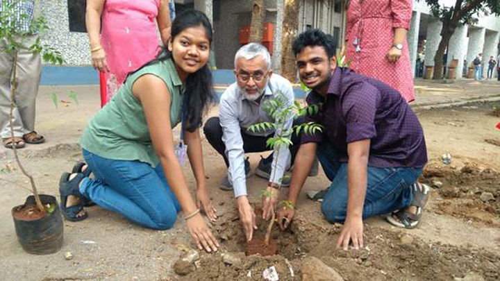 tree-plantation-3