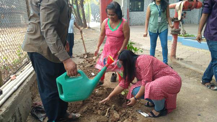tree-plantation-4