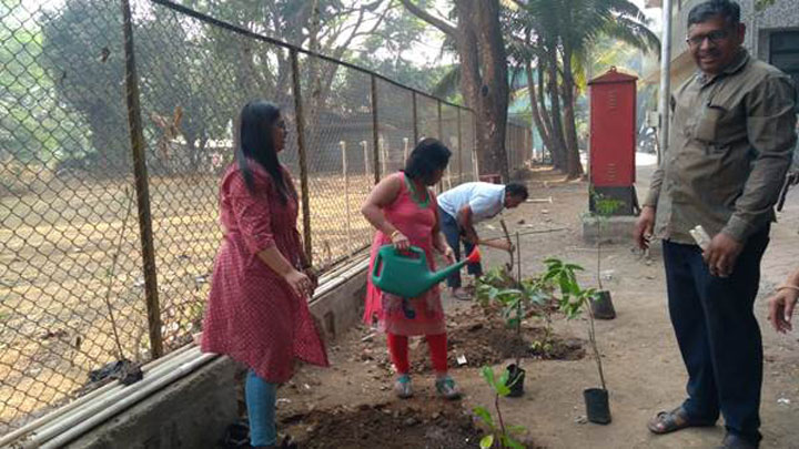 tree-plantation-5