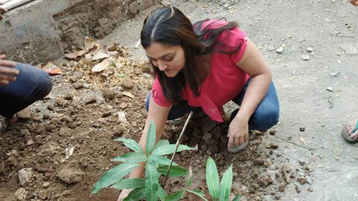 tree-plantation-6